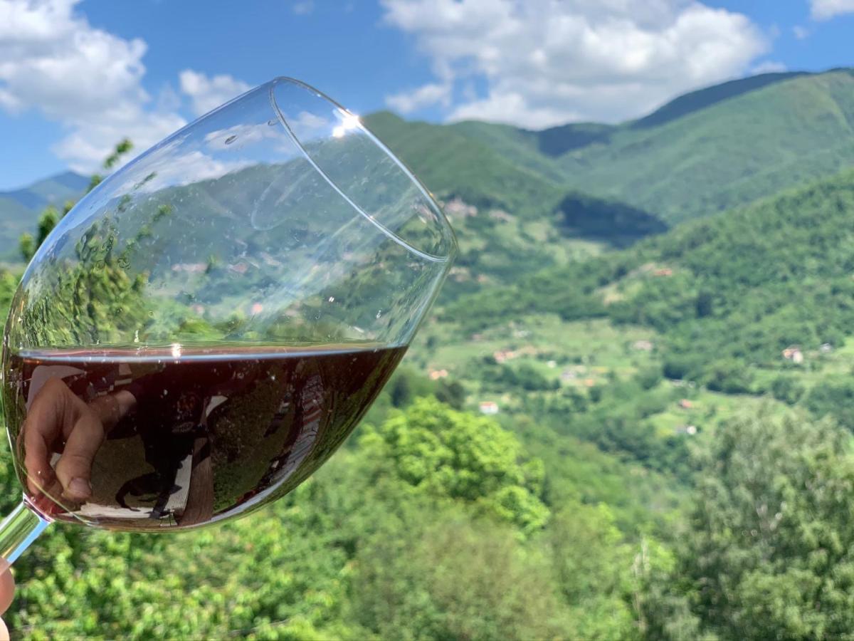 Willa Casa Emma Fiattone In Garfagnana Zewnętrze zdjęcie